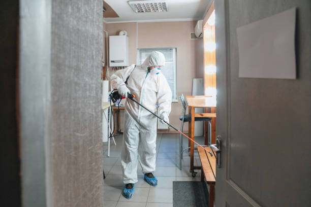 Best Mold Remediation for Healthcare Facilities  in Monongah, WV