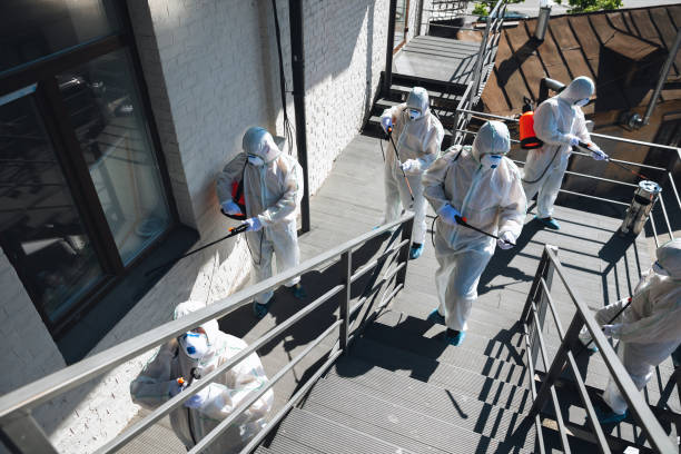 Best Attic Mold Removal  in Monongah, WV