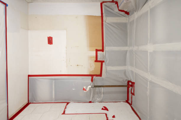Best Mold-Related Health Consultation  in Monongah, WV