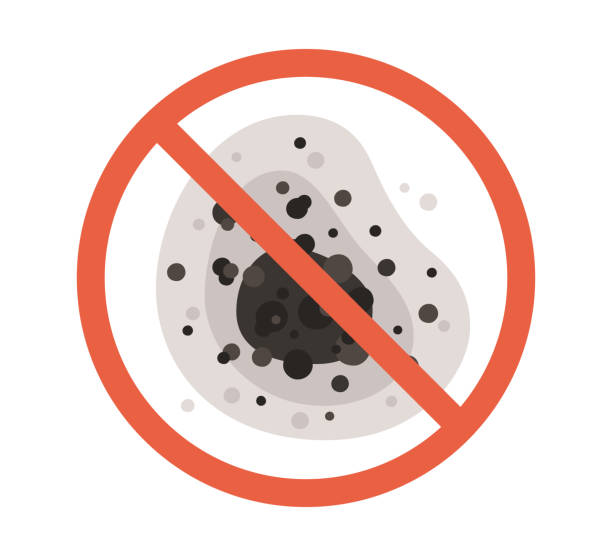 Best Mold Prevention Services  in Monongah, WV