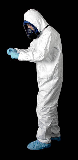 Best Real Estate Mold Inspection  in Monongah, WV