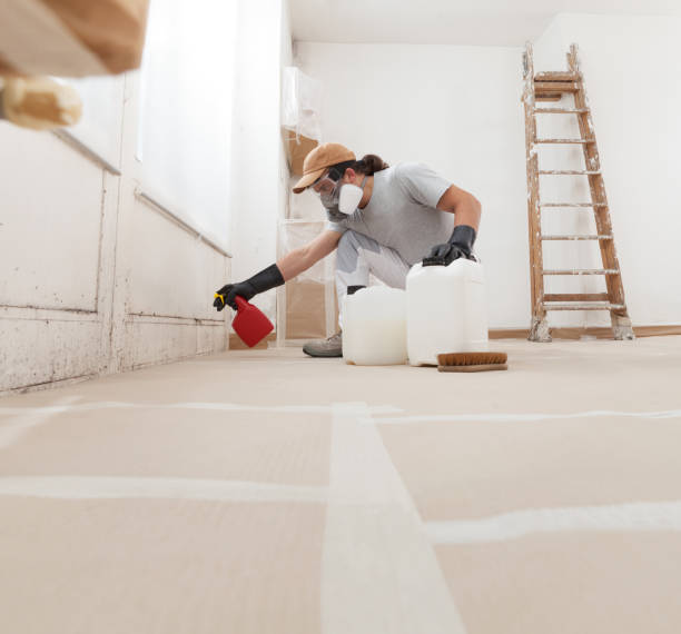 Best Industrial Mold Remediation  in Monongah, WV